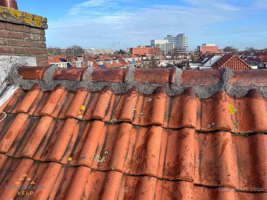 Nieuw bitumen plat dak met uitzicht over woonwijk in Velp