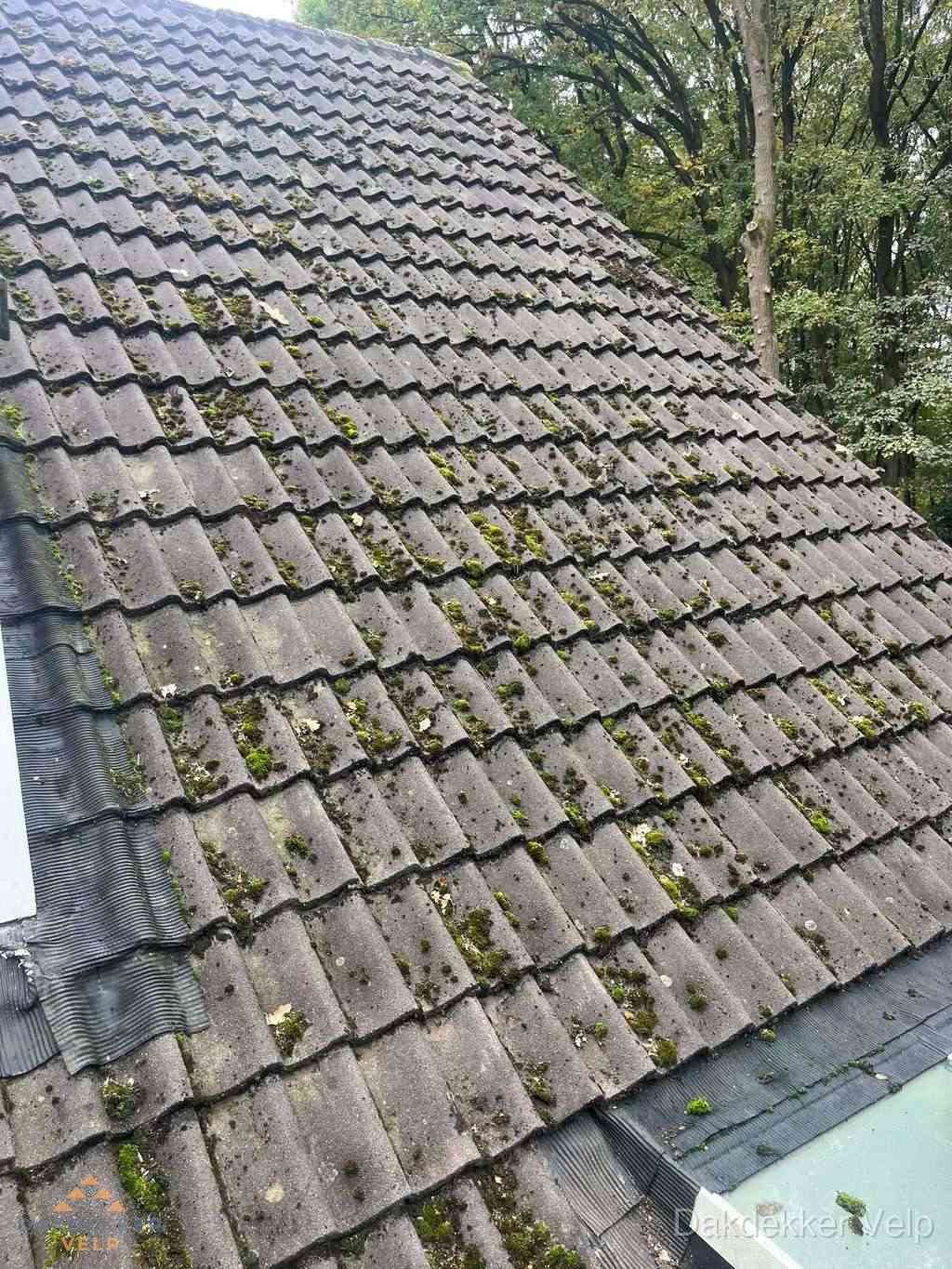 Verweerd pannendak met mosgroei dat renovatie nodig heeft in Velp