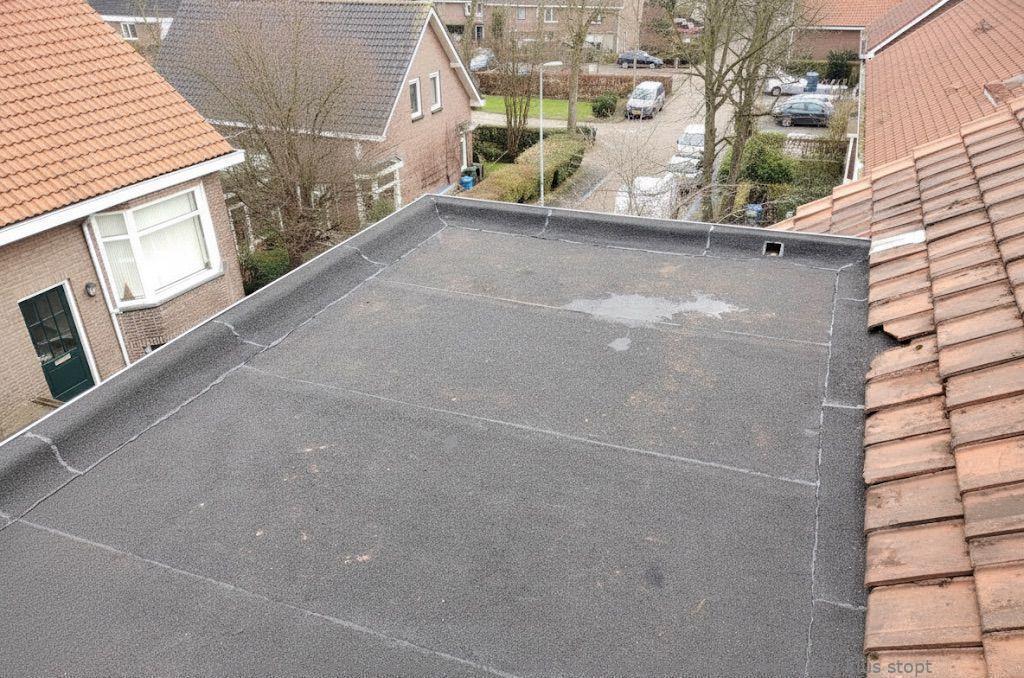 Dakdekker In Najaar Velp