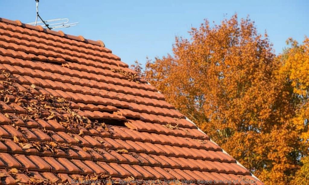 Dakrenovatie In Herfst Velp
