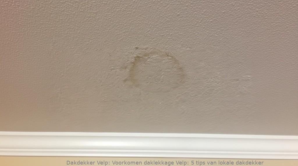 Voorkomen Daklekkage Velp